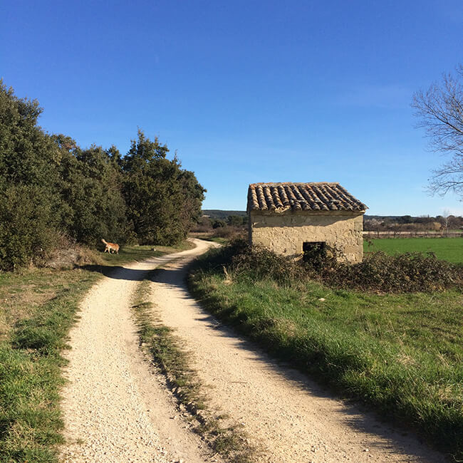 maison d'hôtes Uzes Montaren